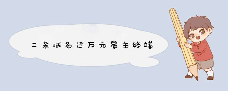 二杂域名近万元易主终端,第1张