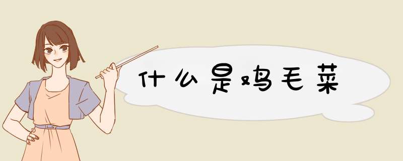 什么是鸡毛菜,第1张 什么是鸡毛菜,第1张