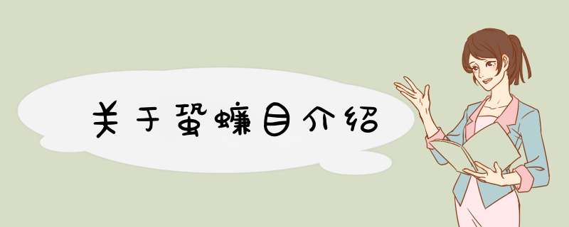 关于蛩蠊目介绍,第1张