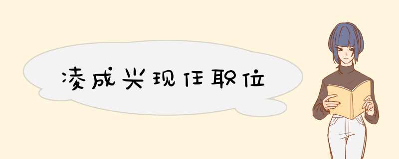 凌成兴现任职位,第1张 凌成兴现任职位,第1张
