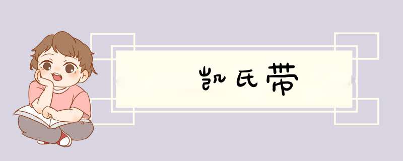 凯氏带,第1张