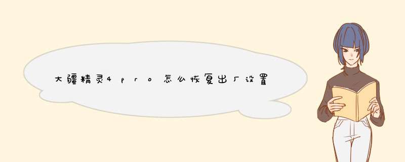 大疆精灵4pro怎么恢复出厂设置,第1张