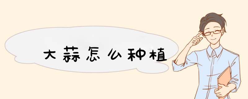 大蒜怎么种植,第1张