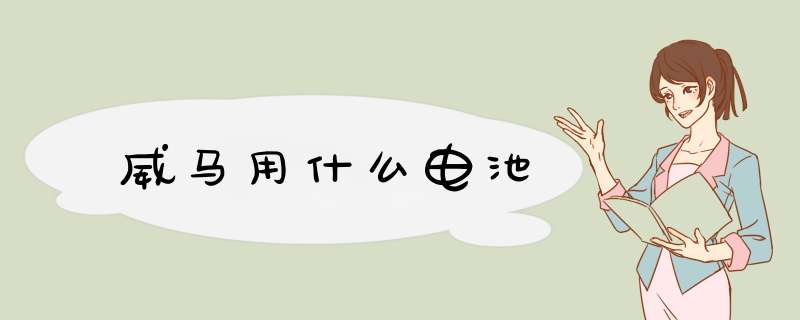 威马用什么电池,第1张