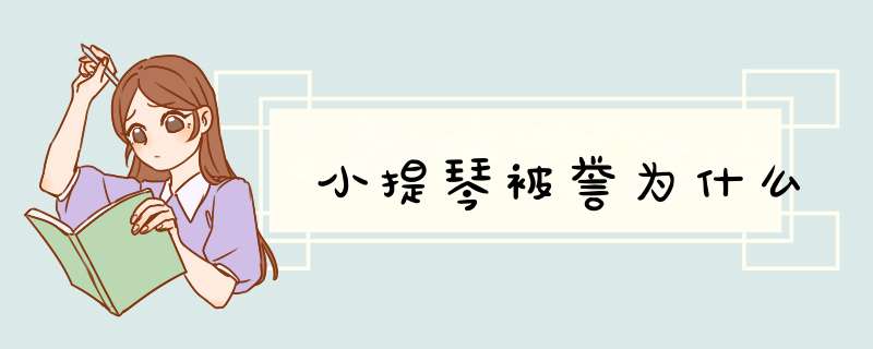 小提琴被誉为什么,第1张