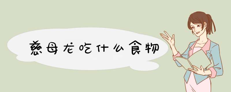 慈母龙吃什么食物,第1张