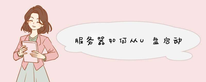 服务器如何从U盘启动,第1张