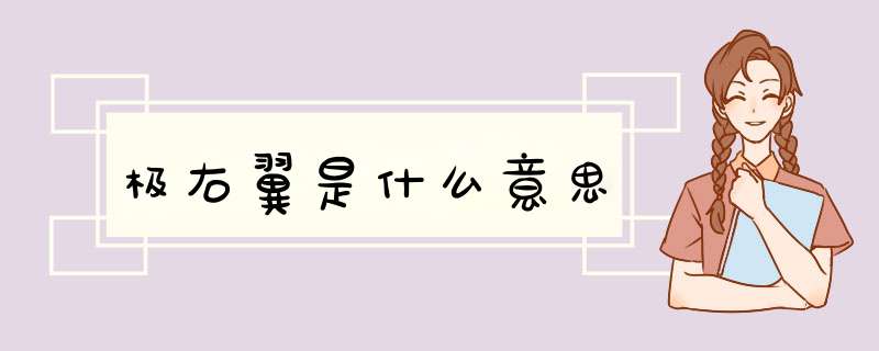极右翼是什么意思,第1张 极右翼是什么意思,第1张