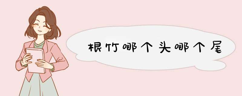 根竹哪个头哪个尾,第1张