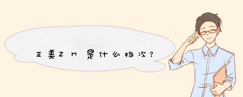 正美ZM是什么档次?,第1张 正美ZM是什么档次?,第1张