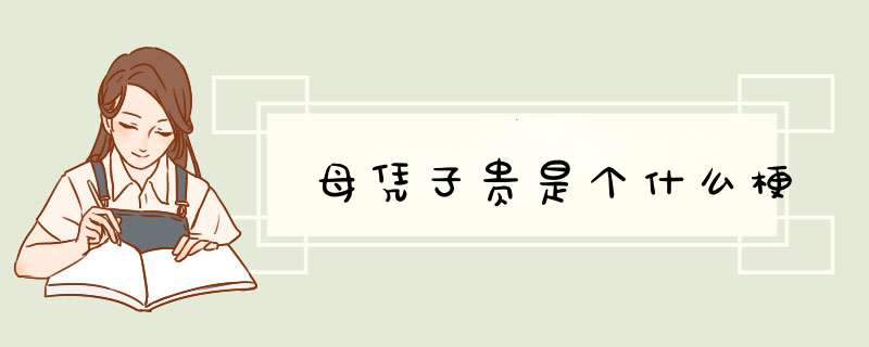 母凭子贵是个什么梗,第1张