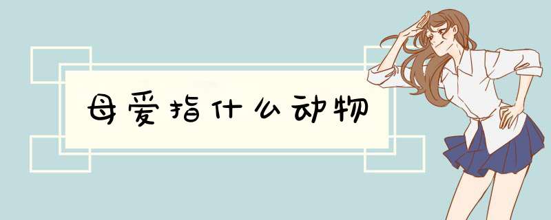 母爱指什么动物,第1张