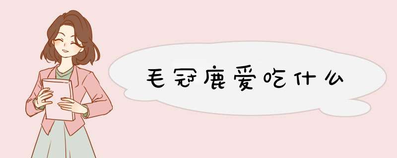 毛冠鹿爱吃什么,第1张