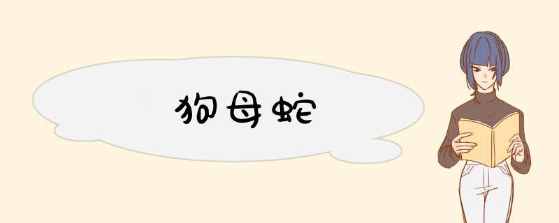 狗母蛇,第1张