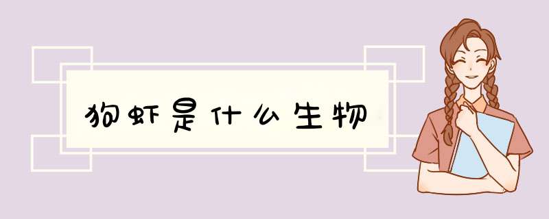 狗虾是什么生物,第1张