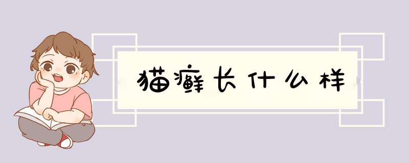 猫癣长什么样,第1张