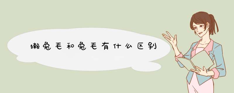 獭兔毛和兔毛有什么区别,第1张