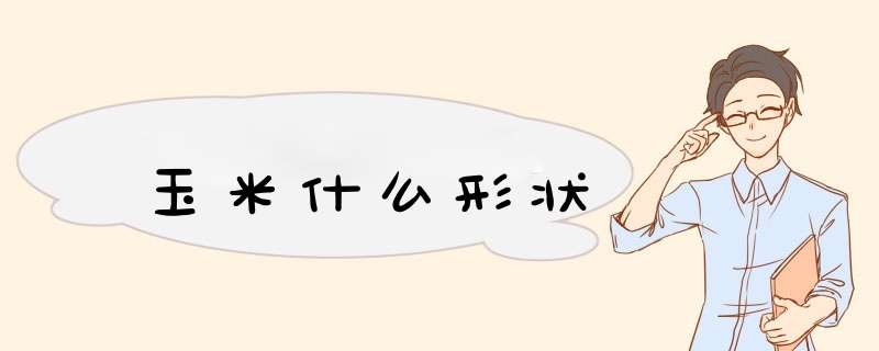 玉米什么形状,第1张