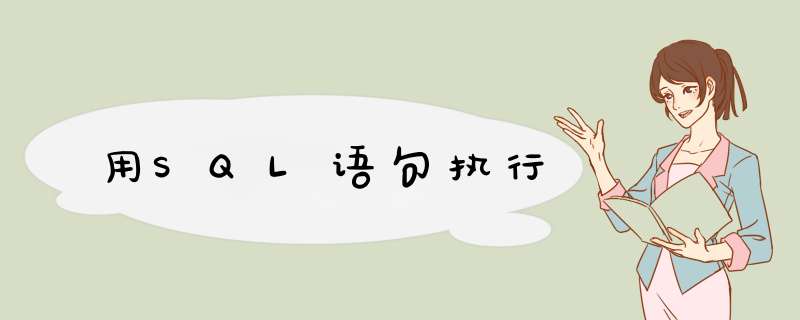 用SQL语句执行,第1张