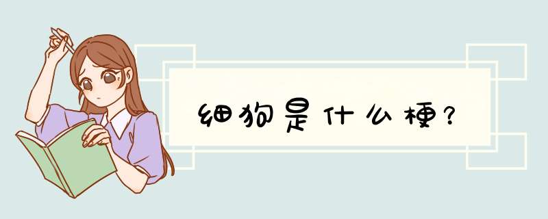 细狗是什么梗?,第1张 细狗是什么梗?,第1张