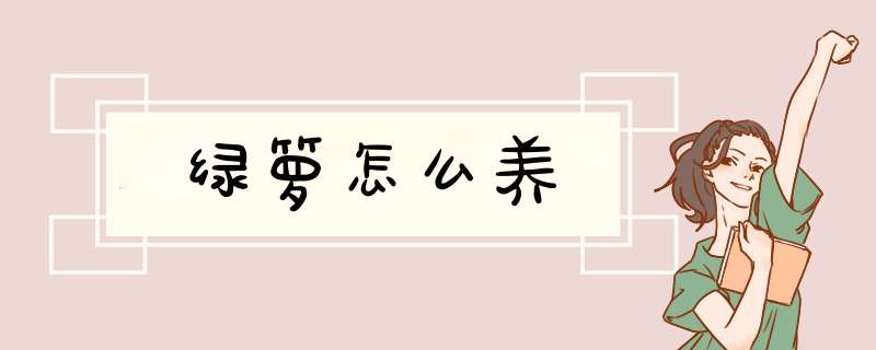 绿箩怎么养,第1张