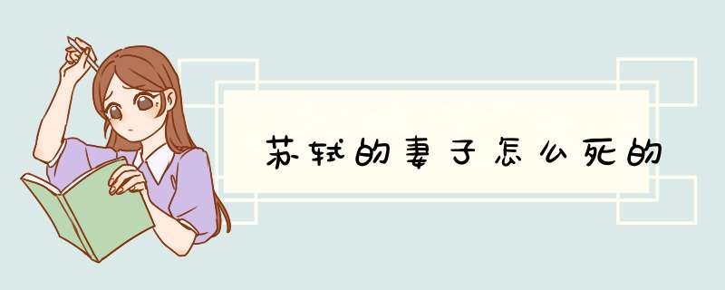 苏轼的妻子怎么死的,第1张