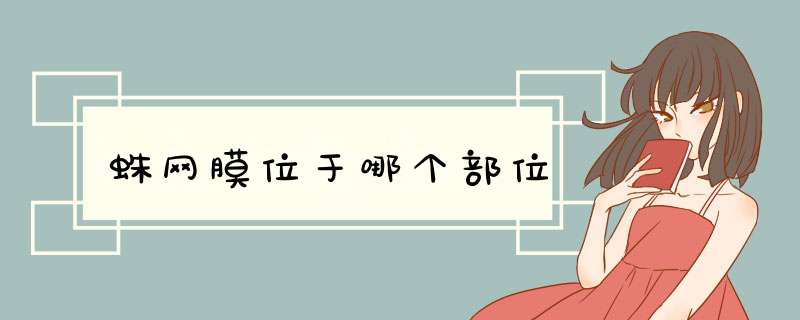 蛛网膜位于哪个部位,第1张