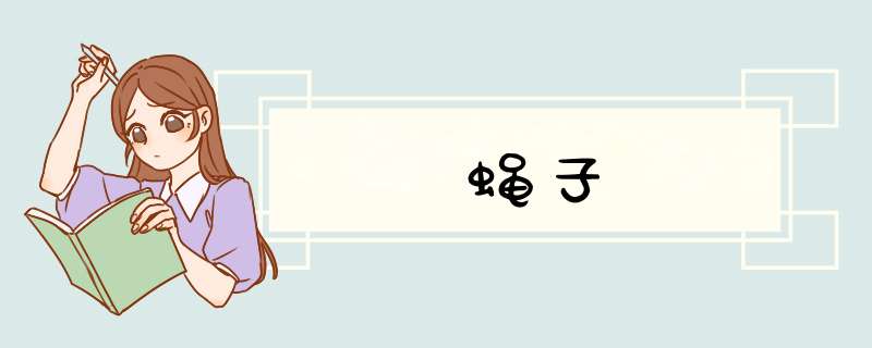 蝇子,第1张