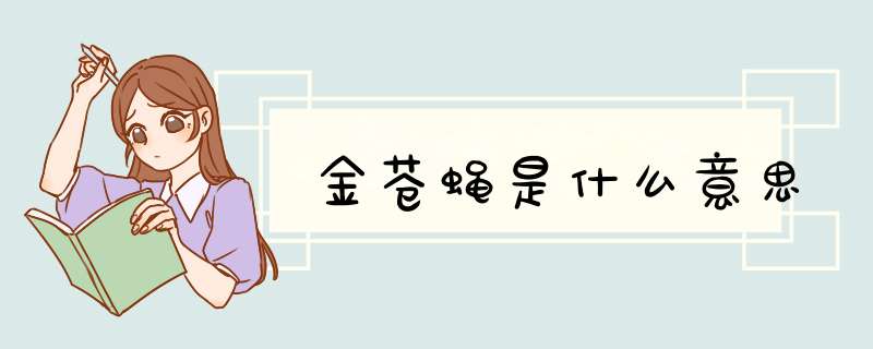 金苍蝇是什么意思,第1张