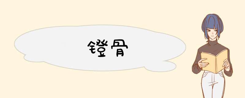 镫骨,第1张