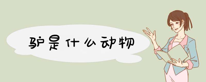 驴是什么动物,第1张