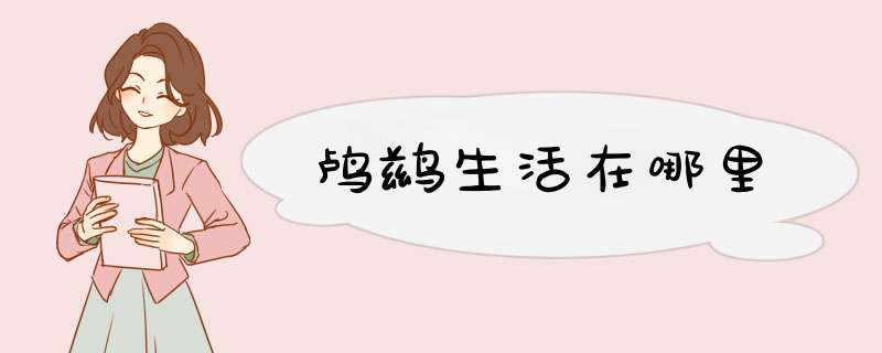 鸬鹚生活在哪里,第1张 鸬鹚生活在哪里,第1张