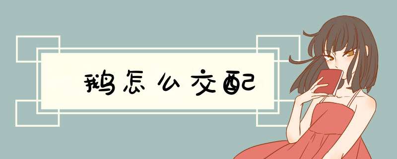 鹅怎么交配,第1张 鹅怎么交配,第1张