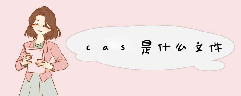 cas是什么文件,第1张 cas是什么文件,第1张