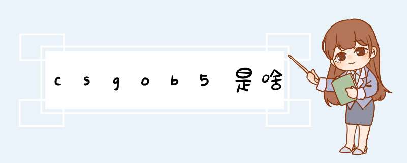 csgob5是啥,第1张