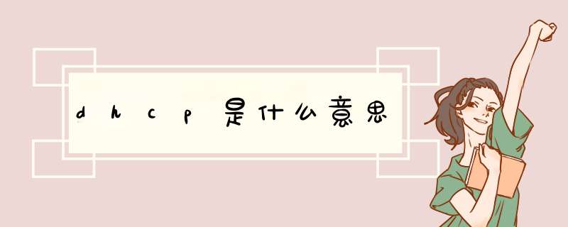 dhcp是什么意思,第1张 dhcp是什么意思,第1张