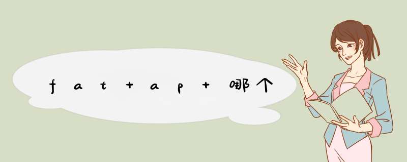 fat ap 哪个,第1张