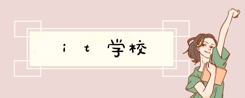 it学校,第1张