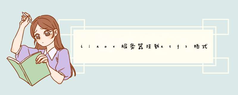 linux服务器挂载ntfs格式硬盘,第1张 linux服务器挂载ntfs格式硬盘,第1张