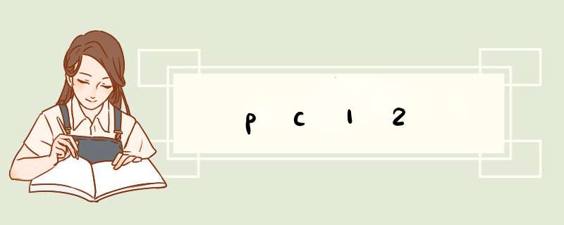 pc12,第1张
