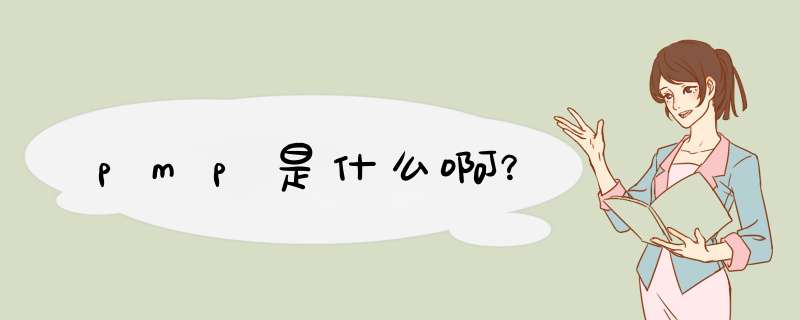 pmp是什么啊?,第1张 pmp是什么啊?,第1张
