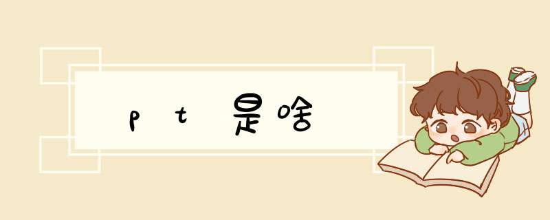 pt是啥,第1张