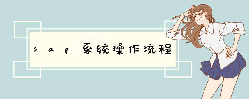 sap系统 *** 作流程,第1张