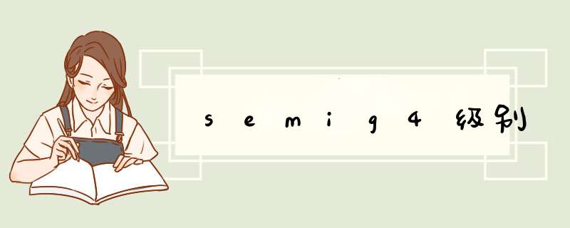 semig4级别,第1张