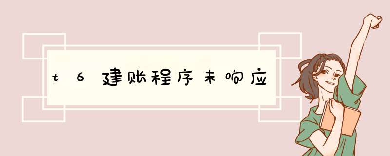 t6建账程序未响应,第1张