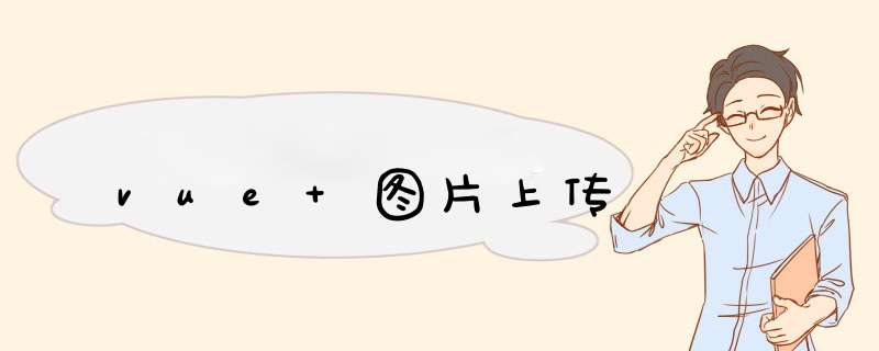 vue 图片上传,第1张