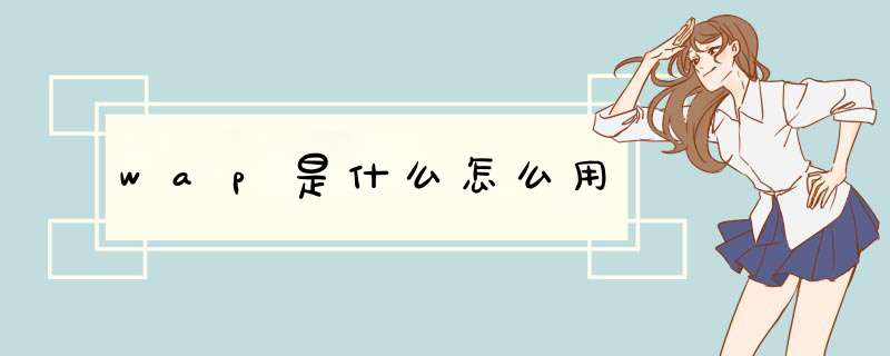 wap是什么怎么用,第1张